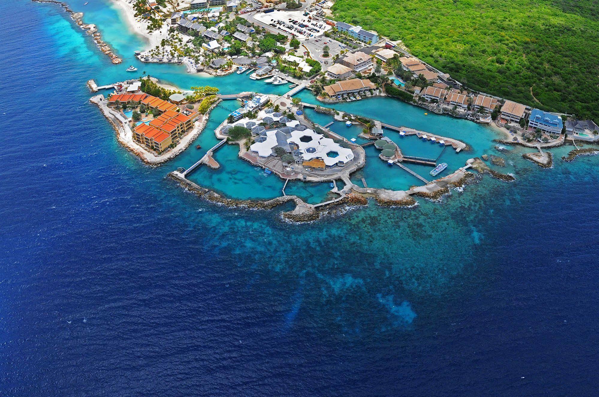 Dolphin Suites & Wellness Curacao Willemstad Ngoại thất bức ảnh
